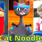 Cute Cat Noodle and Bun