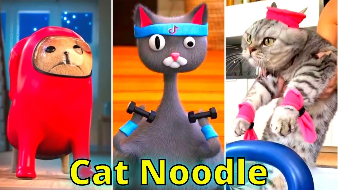Cute Cat Noodle and Bun