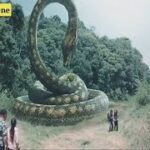 Giant Snake anaconda full movie latest anaconda movie clips Giant Snake video sence