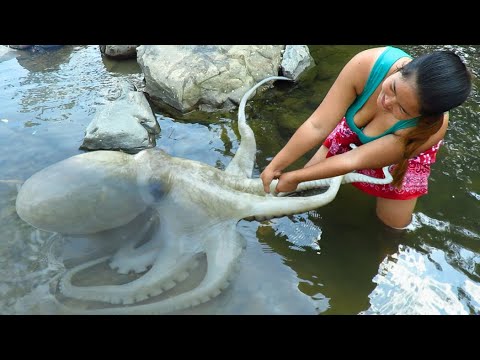 Primitive survival skills: finding big Squid at River – cooking