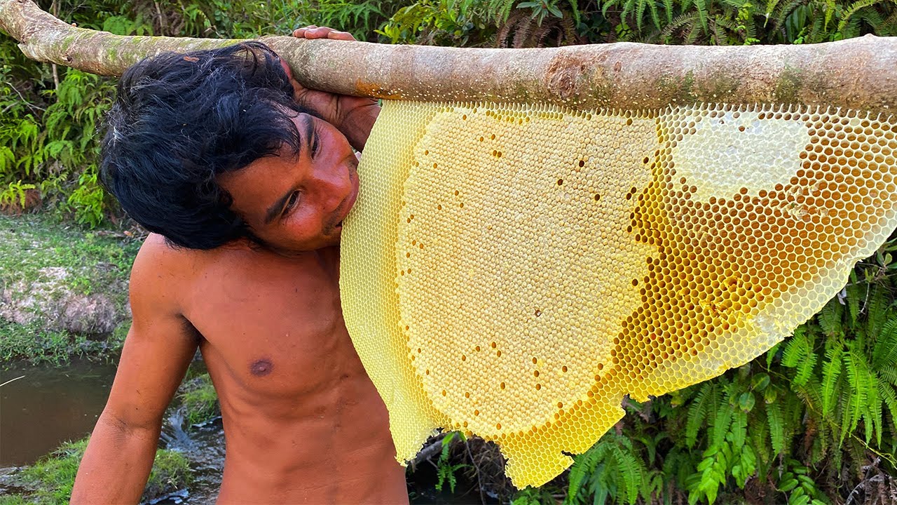 Million Dollars Skill! Brave Millionaire Harvesting Honey Beehiv