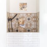 31 Pups in Their Tricked-Out Pet-Washing Stations