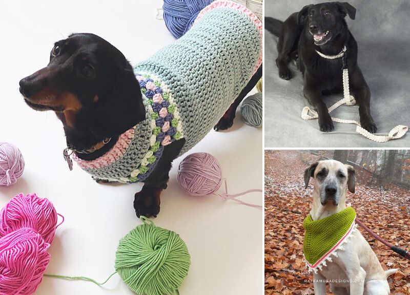 Crochet Dog Sweaters and Accessories