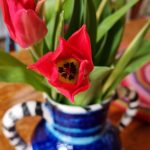 Attic24: All the Thank-You’s