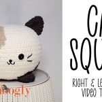 Cat Squish Tutorial Right and Left-Handed Videos
