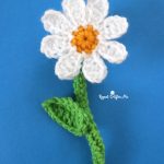 Crochet Daisy Flower – Repeat Crafter Me