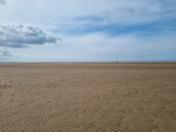 Attic24: A Sandy Date