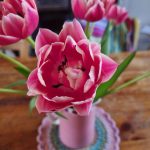 Attic24: A Lovely May Weekend