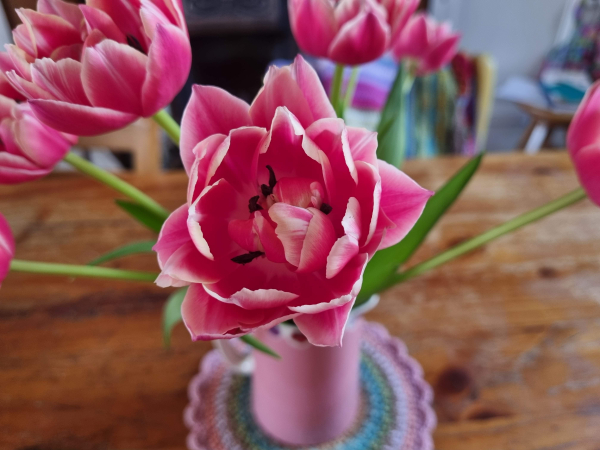 Attic24: A Lovely May Weekend