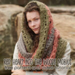 Red Heart Into the Woods Mobius