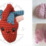 Anatomical Crochet Body Parts Patterns for Studying Biology –