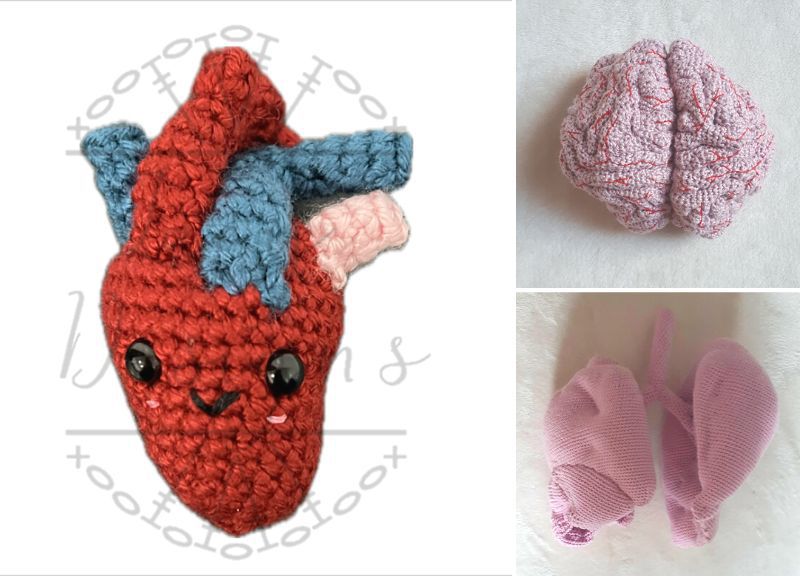 Anatomical Crochet Body Parts Patterns for Studying Biology –