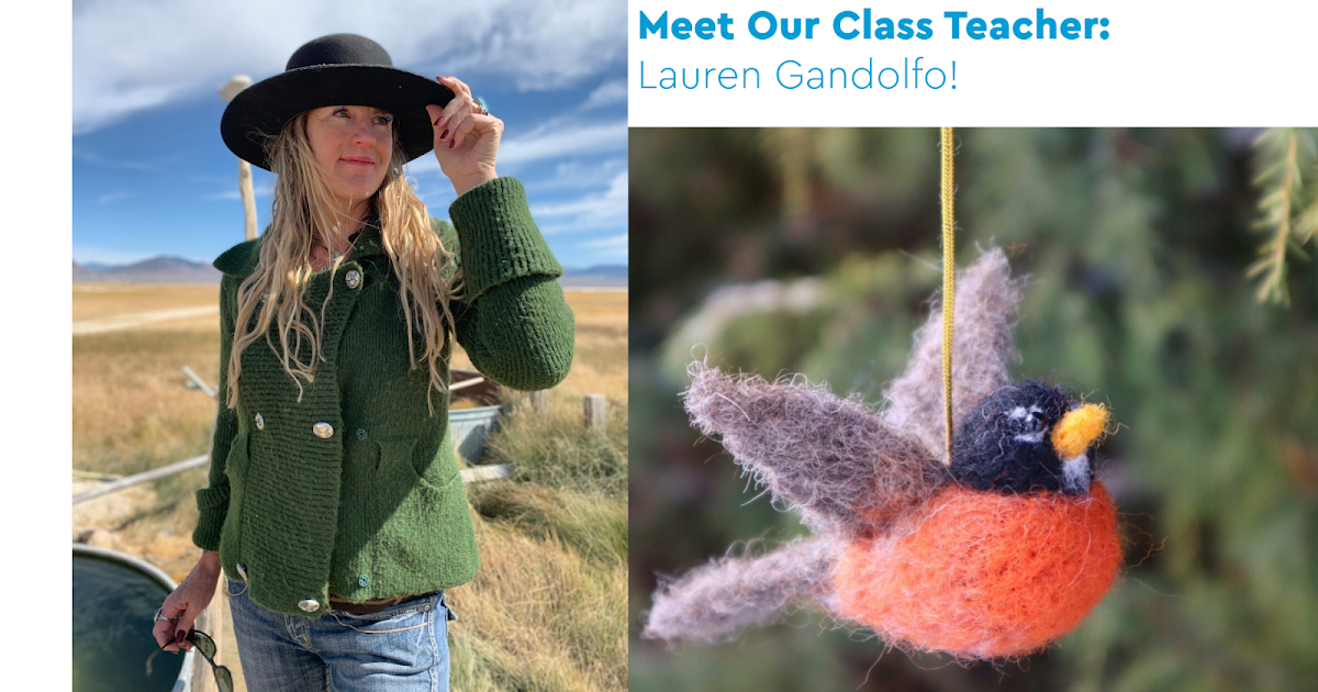 Meet Our Class Teacher: Lauren Gandolfo!