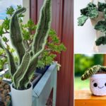 Free Crochet Plant Patterns for a Touch of Greenery Anywhere –