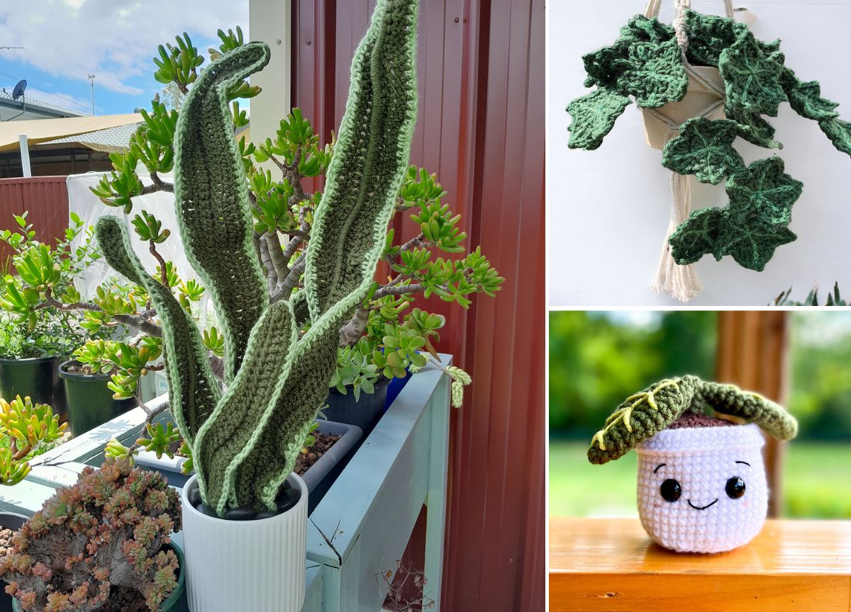 Free Crochet Plant Patterns for a Touch of Greenery Anywhere –